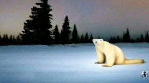МЕМ МЕДВЕДЬ ИЗ 2026 ГОДА
