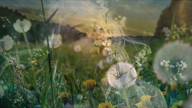 "А ЗАВТРА - ВЕСНА ..." смотреть онлайн