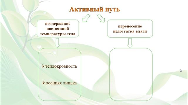Тема 8. Приспособления живых организмов к сезонным ритмам условий среды обитания