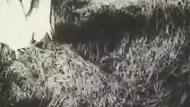 Как жили крестьяне при царе. Воспоминания крестьянки.