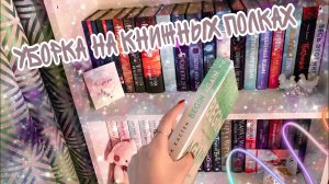 КНИЖНЫЕ ПОЛКИ. Разбор и уборка на книжных полках?
