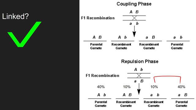 Genetics Part 4 смотреть онлайн
