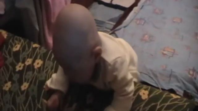 лысая голова смотреть онлайн