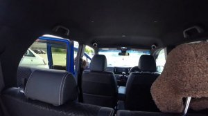 МИНИ-ОБЗОР HONDA N-WGN и TOYOTA VITZ | БЕГЛО, КРАТКО ПО ОСНОВНЫМ АСПЕКТАМ | ЯПОНСКИЕ КЕЙКАРЫ