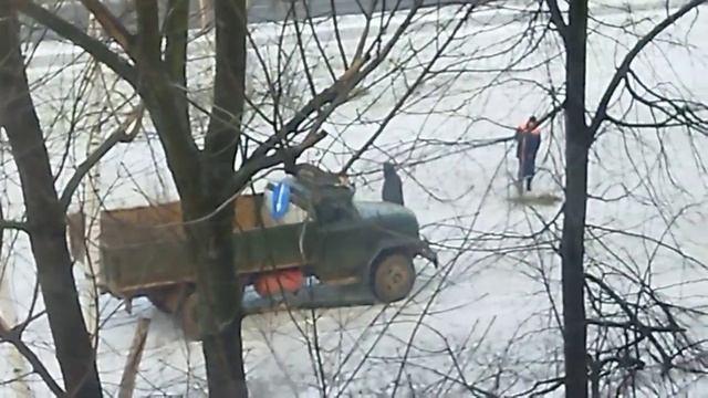 Зимняя посадка деревьев смотреть онлайн