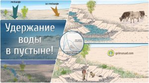 Удержание воды в пустыне!