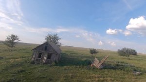 Заброшенный дом у реки ч.2, с пролетом на квадрокоптере через дом, стадо коров в поле