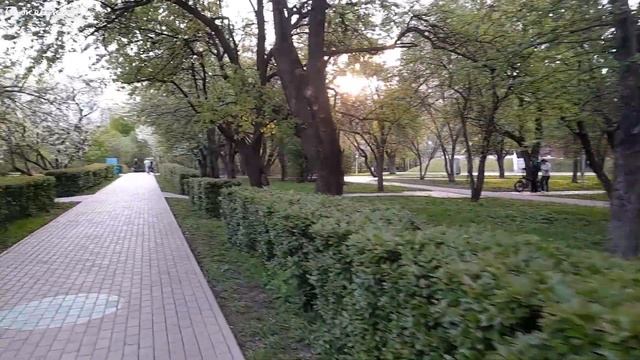 Зацвели яблони в Парке Ангарские Пруды. Красота сказочная.