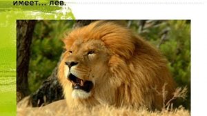 Интересные факты о животных