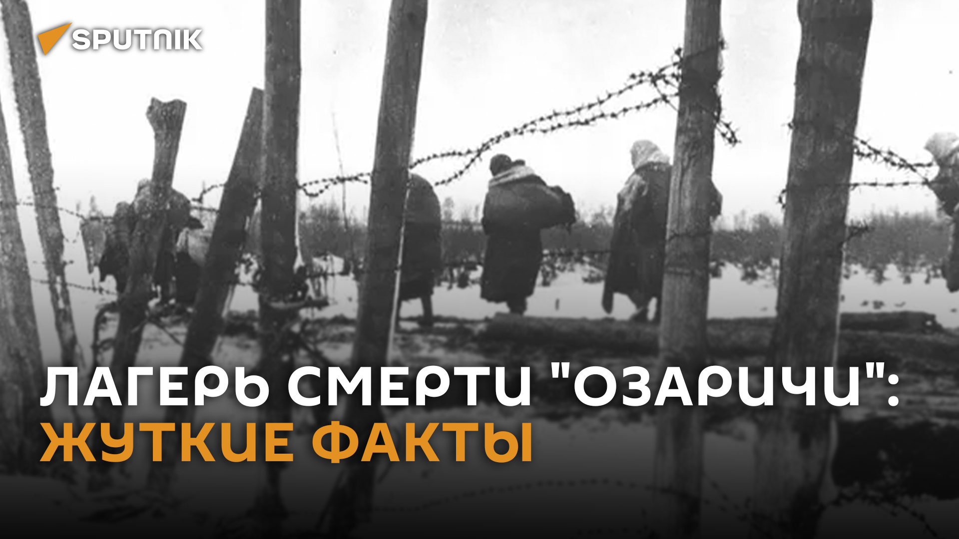 Адские болота Гитлера: лагеря смерти нацисты создавали с первых дней войны