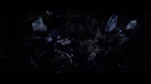 Oneohtrix Point Never - The Pure and the Damned (Official Video) ft. Iggy Pop