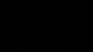 Король лев Нала и Шрам!