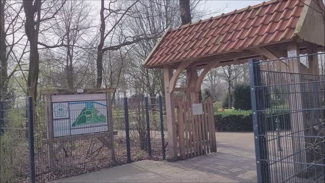 Городской парк…