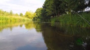 Ходовая рыбалка на ельца. Поиск перспективных мест для ловли.