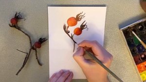 Ботаническая иллюстрация. Рисуем зимний шиповник. Поэтапное рисование акварелью