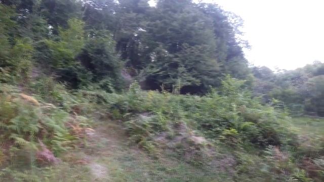 ТОП-участки в Сочи - Земля в Барановке смотреть онлайн