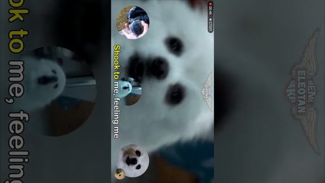 Животные поют тандер смотреть онлайн