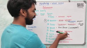 Morphology of flowering plants | Solanaceae | Mnemonics | Short tricks