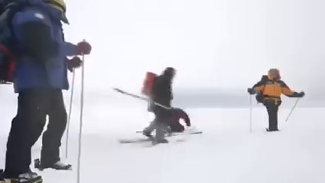 Лыжню! смотреть онлайн