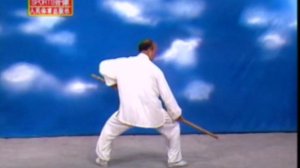 Чжао Бао тайцзицюань форма с шестом