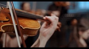 Красота Музыки Печальная Скрипка