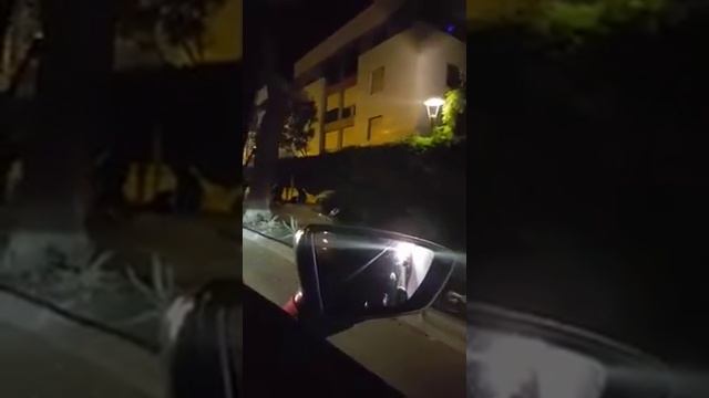 Bağdat Caddesi Sahil Yolu Kaza ( Ağacı deviren araç ) 15.10.2017