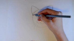 Рисуем кошачью мордочку. Как нарисовать кошку