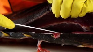 Разделкам гигантского тунца. Для сашими, суши и роллов SASHIMI MARKET г. Калининград.
