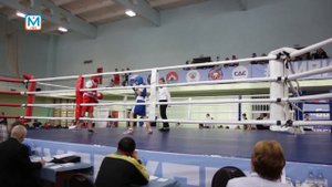 Чемпионат и Первенство Кузбасса по боксу в Междуреченске