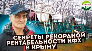 Секреты рекордной рентабельности КФХ в Крыму