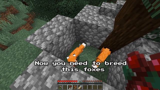 How to Tame A Fox In Minecraft 1.15 - 1.16+ (Tutorial) смотреть онлайн