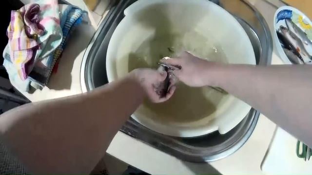 Как быстро и аккуратно почистить разную рыбу. Часть 1. смотреть онлайн