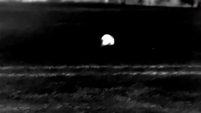 Badger spotted with Infiray E6Pro V3. смотреть онлайн