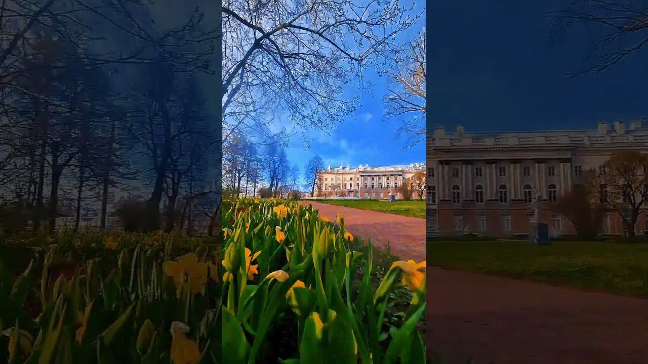 прогулка по парку #питер #санктпетербург #спб #travel