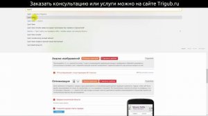 SEO-аудит интернет-магазина больших мягких игрушек. Анализ сайта на ошибки. Пример аудита сайта.