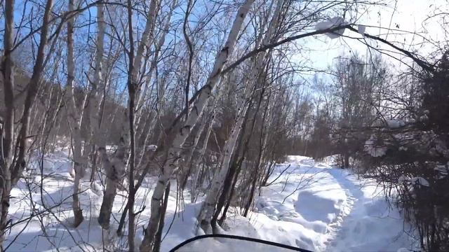 ЗМУ (Зимний маршрутный учет) животных смотреть онлайн