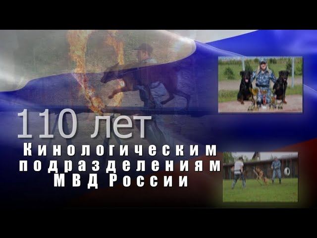 Кинологическая служба МВД России отмечает свое 110-летие