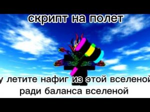 скрипт на полет
