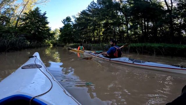 Entre árboles y cañas, Explorando el Delta 3/5 - Skydio 2, GoPro 10 - 4k 60 fps смотреть онлайн