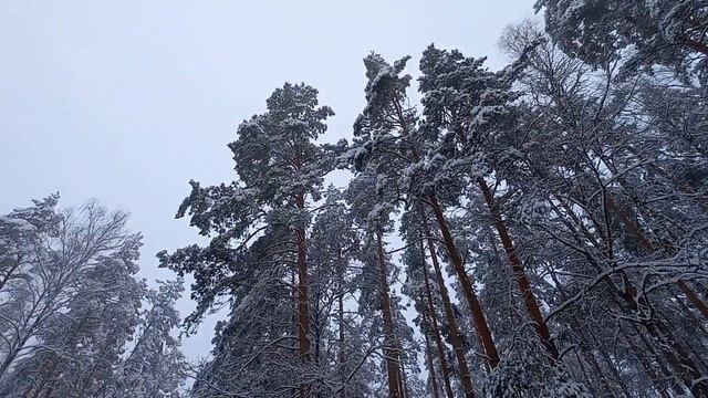 Зимняя сказка декабрь 2022г. смотреть онлайн