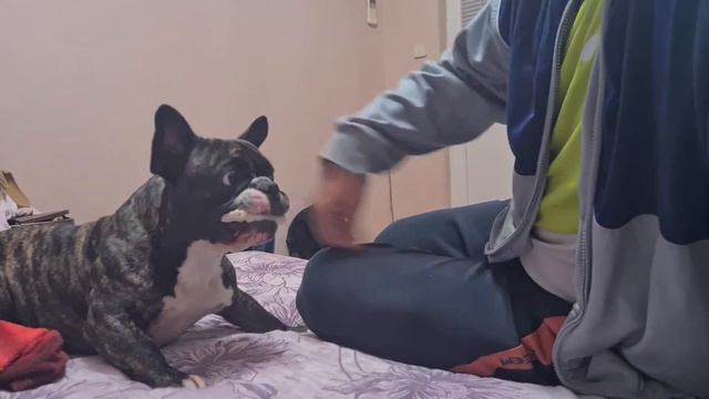 Другата страна на АРА смотреть онлайн