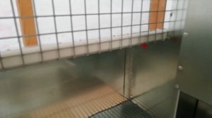 Клетка для кроликов ВЕЛИКАНОВ !!!