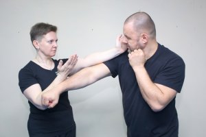 Stikhiya Wing Chun. Классический Вин Чунь. Секторная защита.
