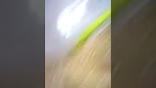 Пауки и жуки смотреть онлайн