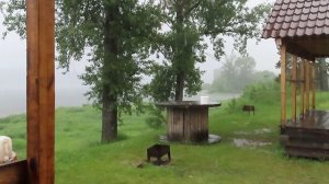 ЕНИСЕЙСКИЙ ХАРИУС В ИЮНЕ/ 2 часть