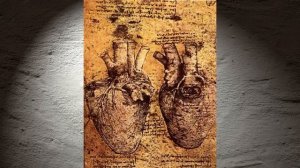 alte Meister & große Geister: Leonardo da Vinci: Anatomie  - Mfiles 036