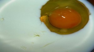 Филе пангасиуса в кляре