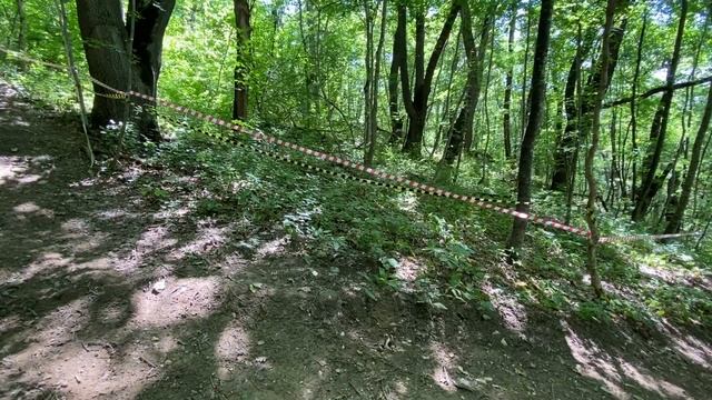 Даунхилл гонка / MTB Downhill race