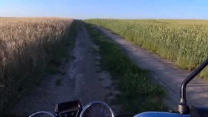 ПОКАТУШКА НА РЫБАЛКУ НА АЛЬФЕ | РЫБАЛКА РАНО УТРОМ |РАННЯЯ РЫБАЛКА|