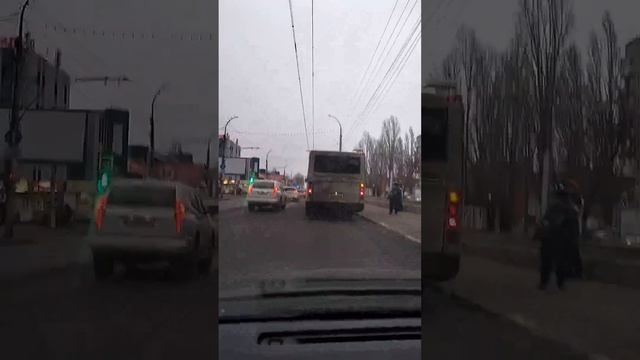 Краснокнижный автобус Дитера Болена